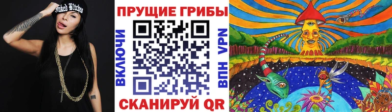 Псилоцибиновые грибы MAGIC MUSHROOMS  Купить где  Дегтярск 